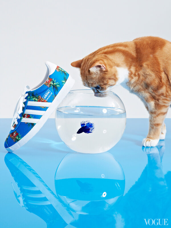 cats-kittens-flats-shoes-05-204109746462