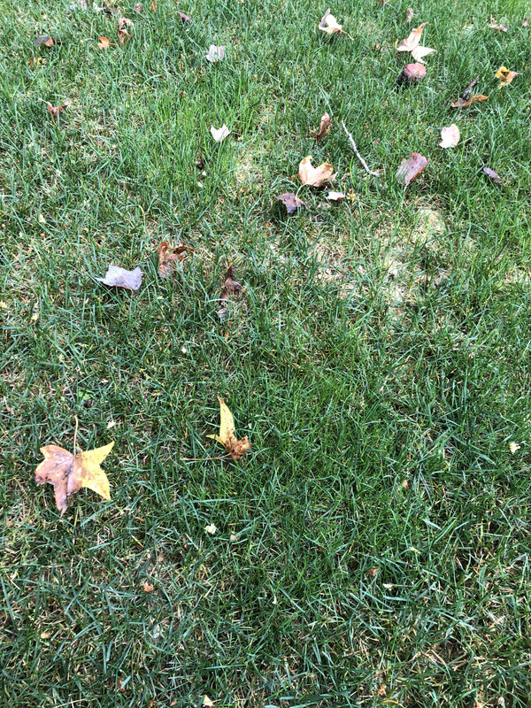 IMG 9419 — Postimages