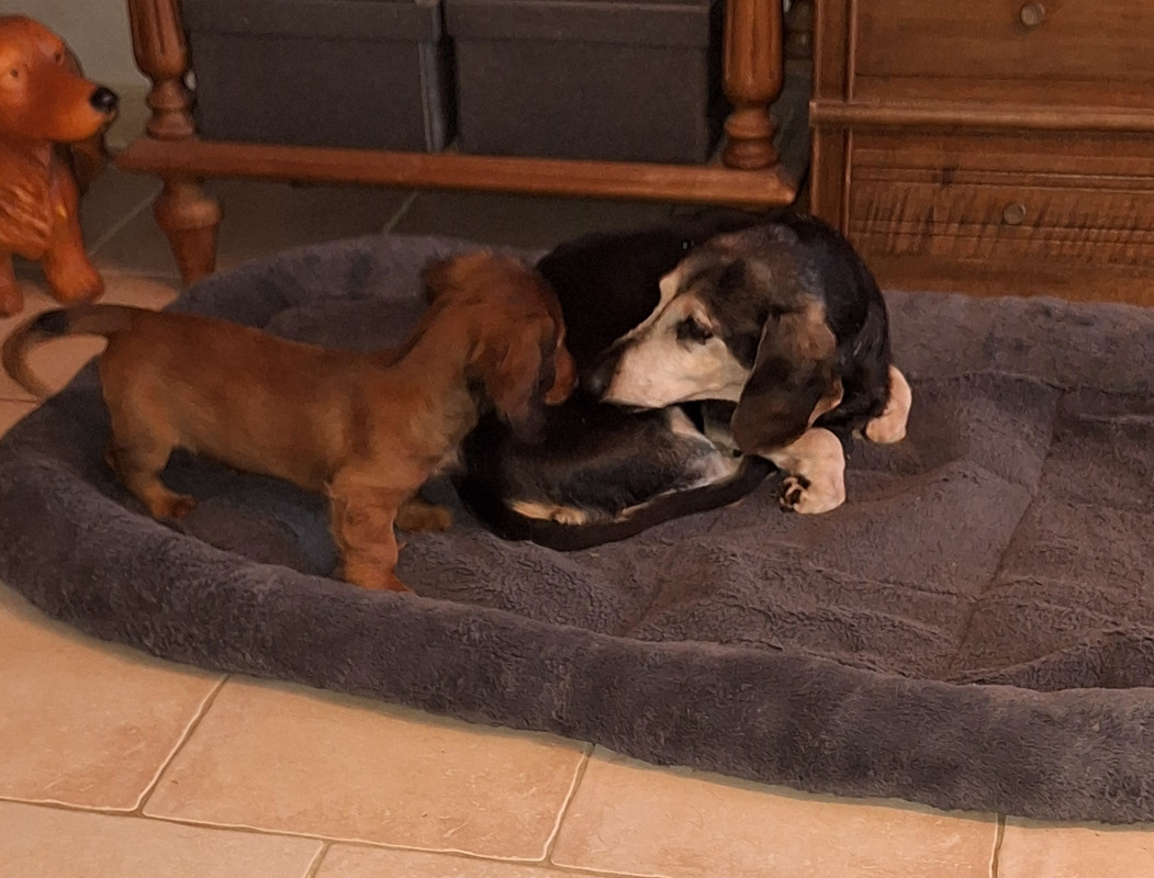 [Image: 20240909-185828.jpg]