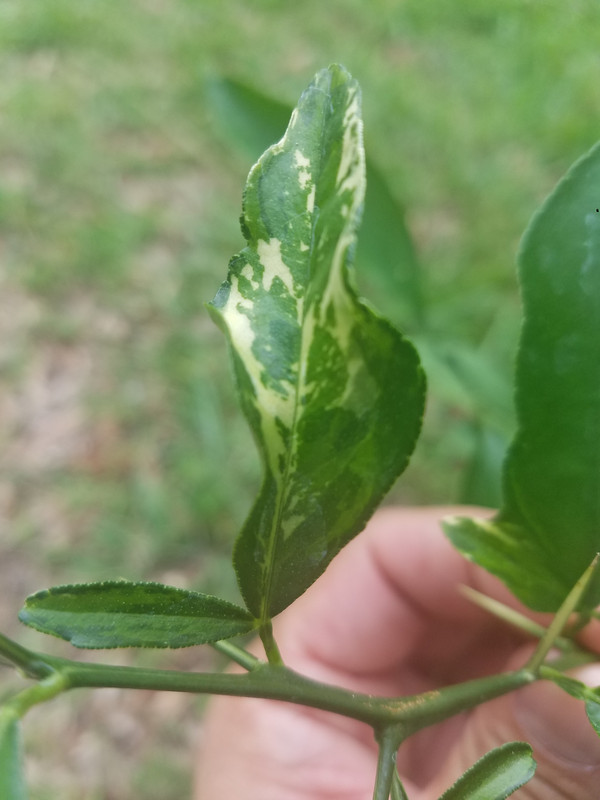 20190609_151302
