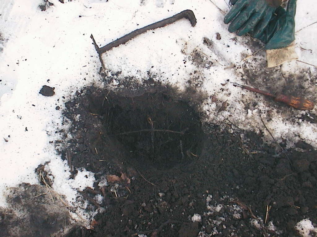 päivänlöytö28022016 pikkuhuopalahden puisto 024