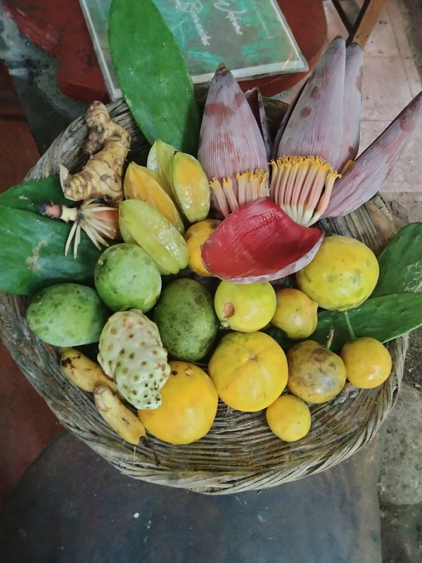 IMG20230822103635