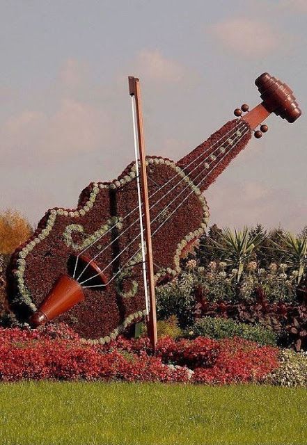 brown-grass-violin-new.jpg