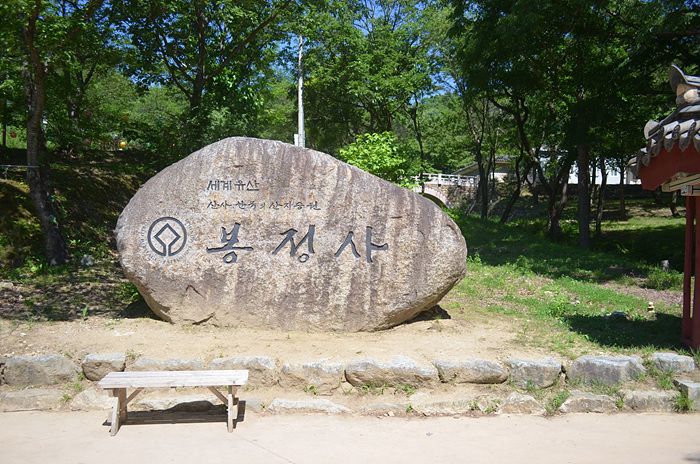 DSC-0331