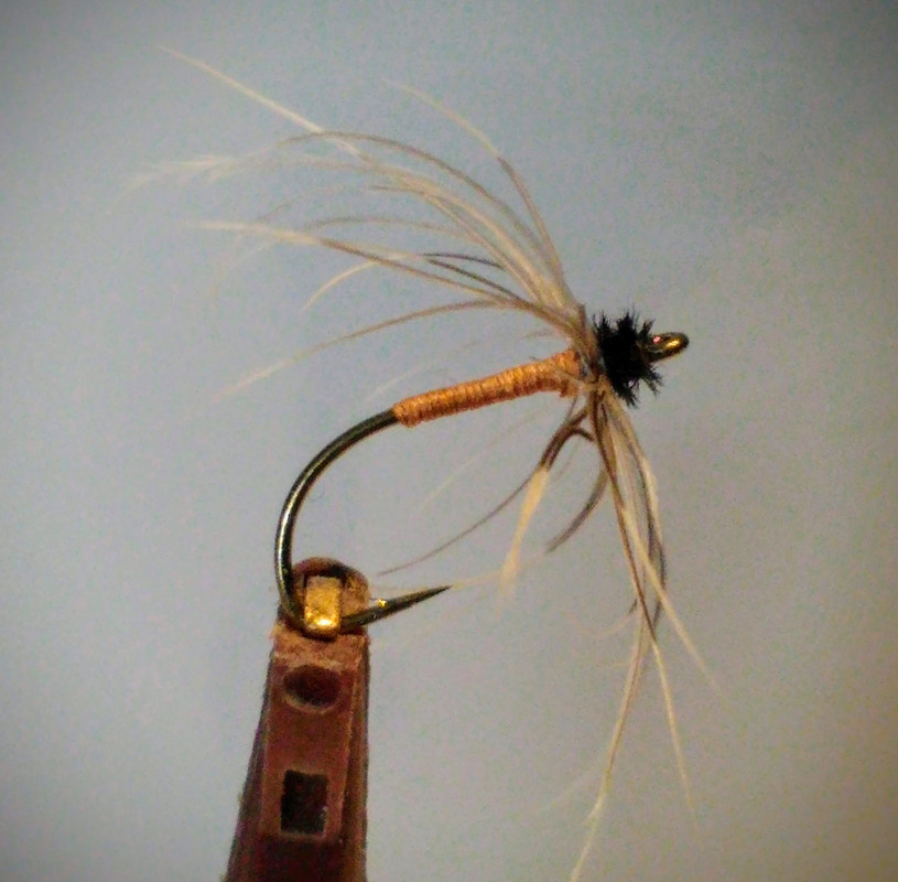 original_c42f9718-f9e4-487f-8416-2e9edabbb954_P_20210416_114020