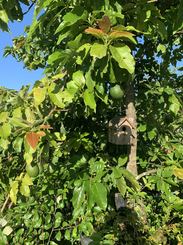 5D847641-9A02-4852-8610-E740F108A8DF