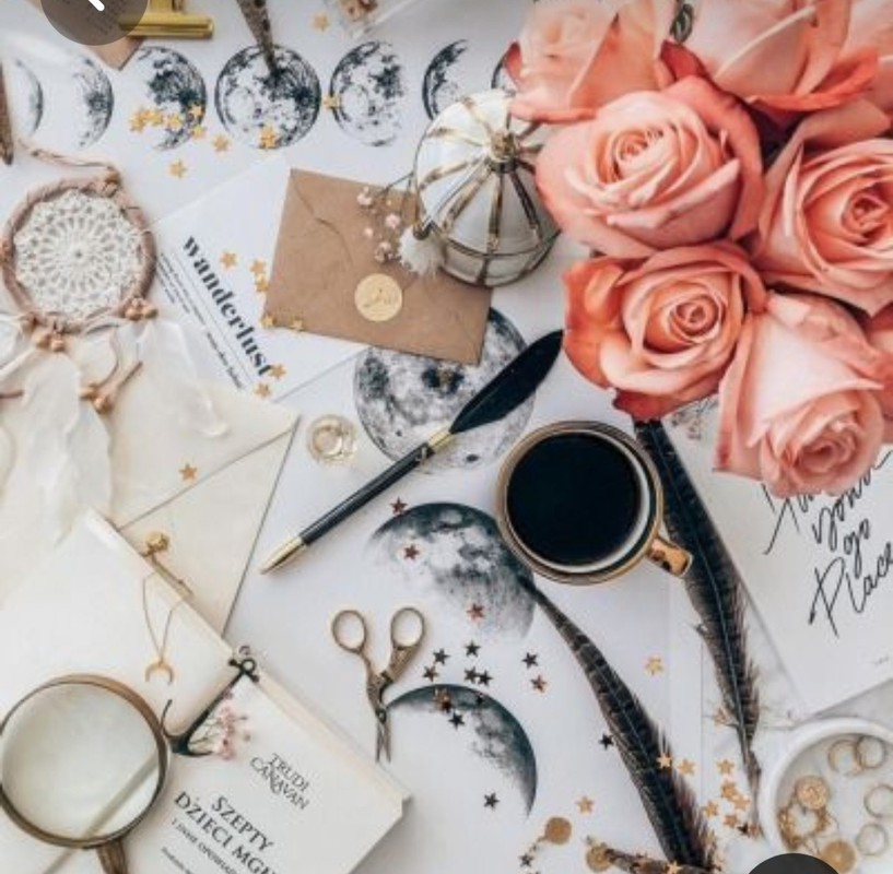 Screenshot_20230310_000247_Pinterest