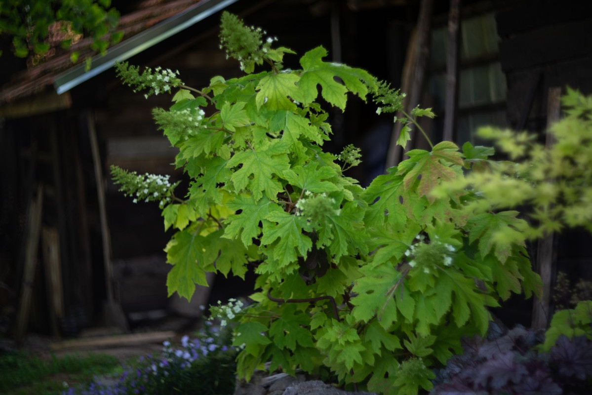IMG-400c94f38725d54ff4df6f41311efc24-V