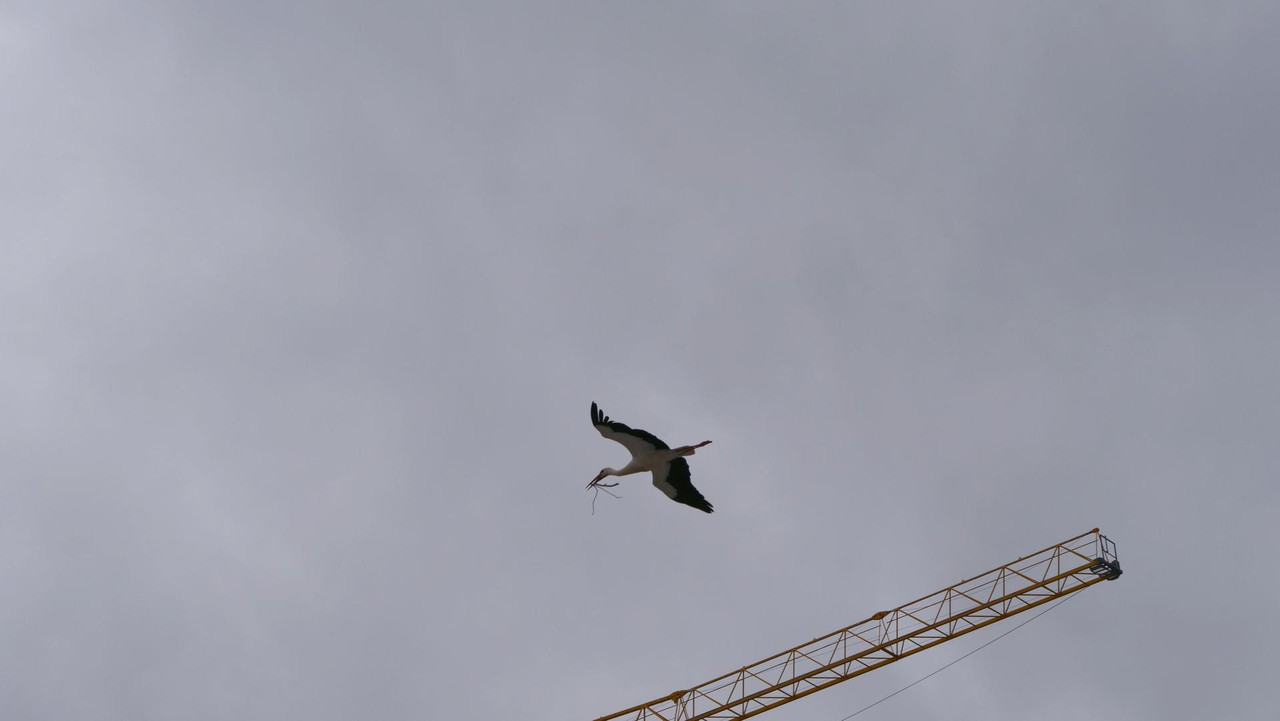 [Bild: 040426-121255-307b.jpg]