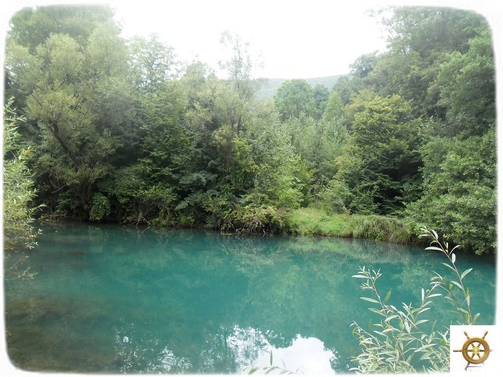 Slika