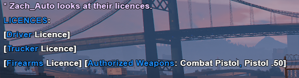 GTA Licenses