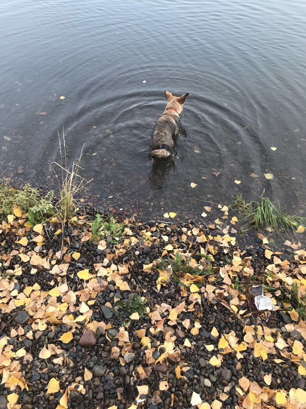 IMG-a16239d450b6fdf88ae0a62e1eac37d4-V