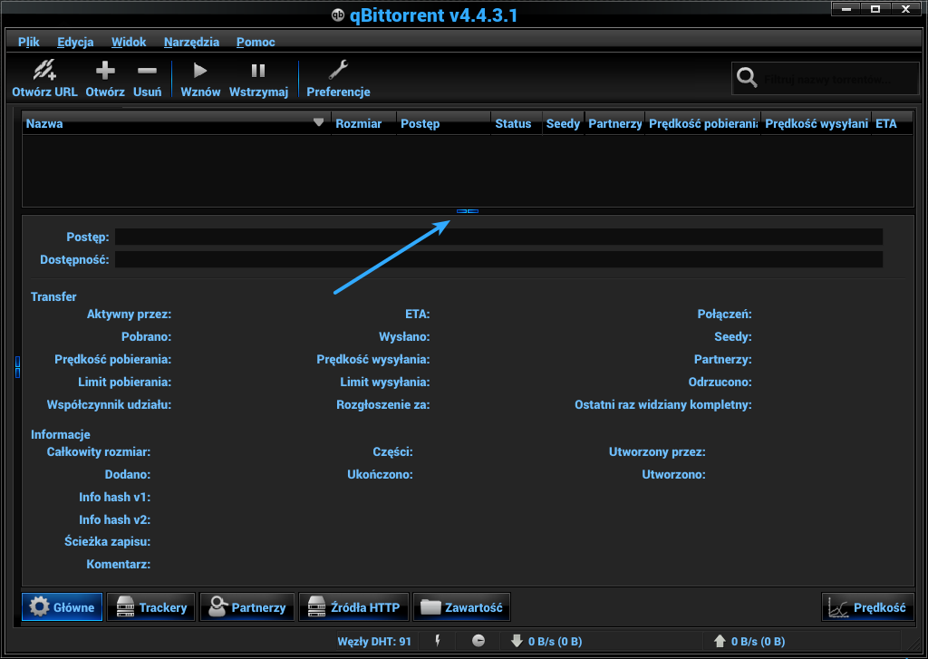 qBittorrent v4.4.3.1