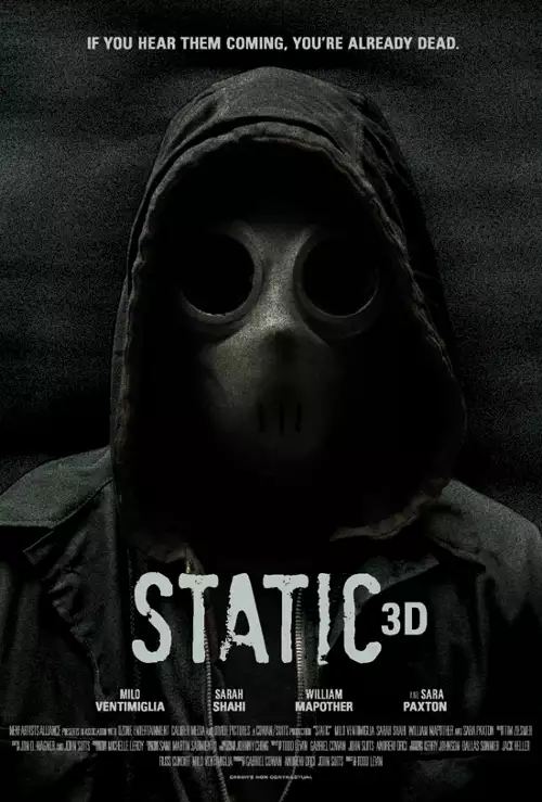 Static (2012) PL.DVDRip.XviD-NN / Lektor PL