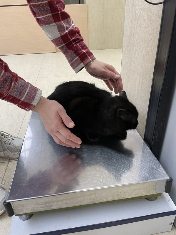 55941ED6-A974-46D2-A240-BE7204543776