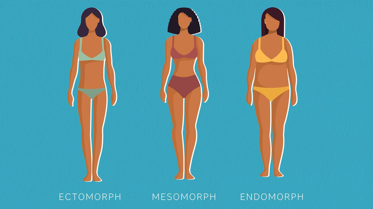 body-type-quiz-are-you-an-endomorph-ectomorph-or-mesomorph-1440x810.jpg