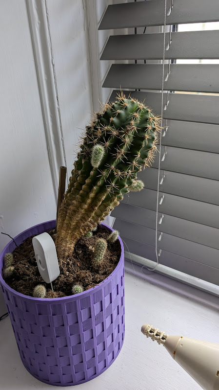 PXL 20260406 135141726 MP