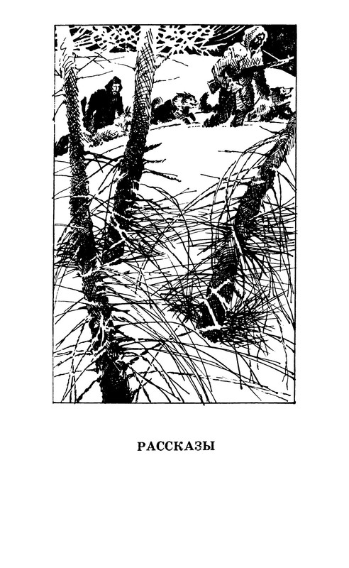 p0013