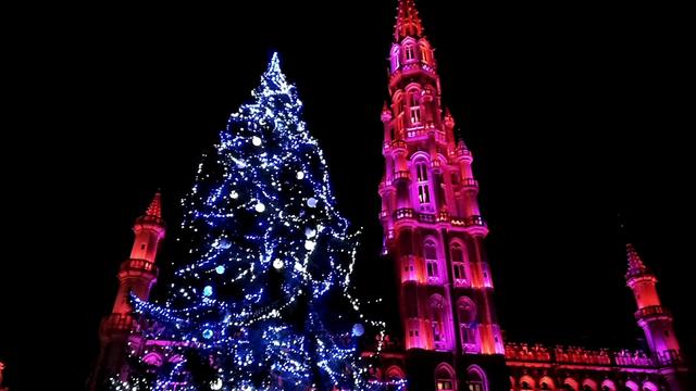 Bruselas, Gante y Brujas. Navidad 2018 - Blogs de Belgica - Llegada a Bruselas y fastuosa Grand Place (7)