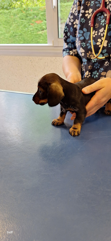 [Image: 20250606-180632.jpg]