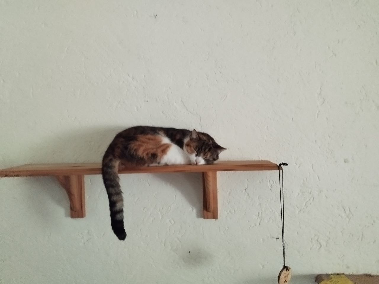 photo 2026 09 17 09 42 50
