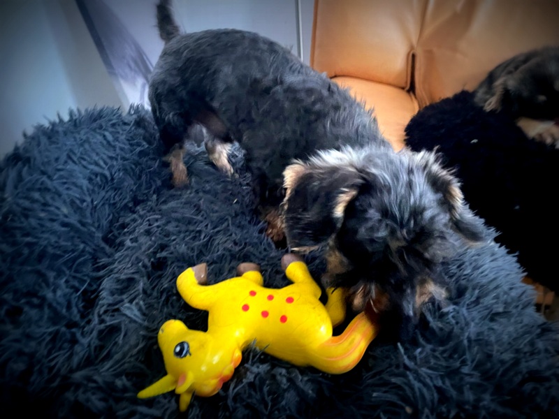 [Image: IMG-2903.jpg]