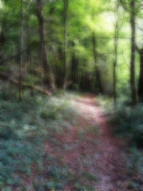 20140914_173645 orton