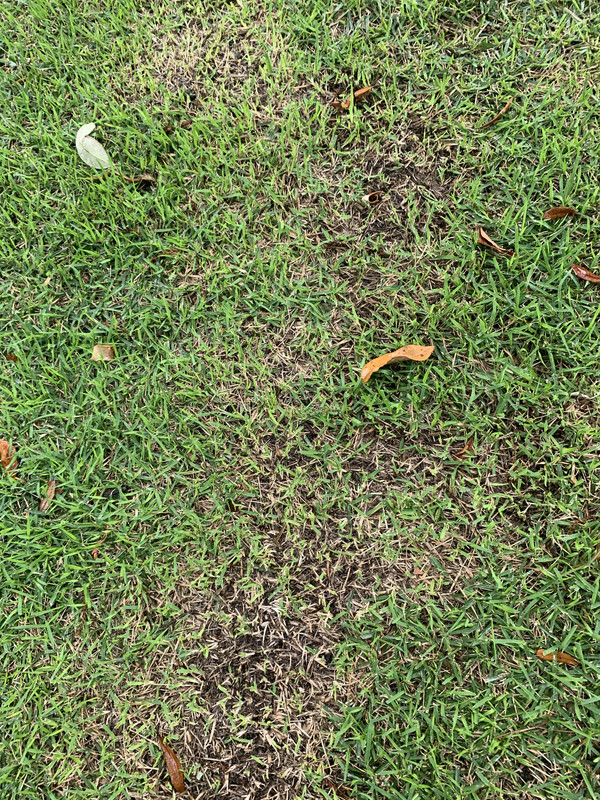 CE787235-4A99-4C74-A298-B01F636BEDCE