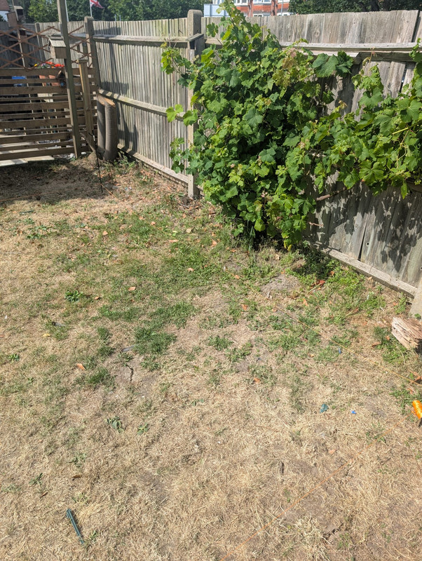 0d59364d-d09e-4e79-bbc6-0f0fb564eda4 2