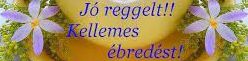 https://i.postimg.cc/7Zbzv40m/joreggelt-kellemes-ebredest1.jpg