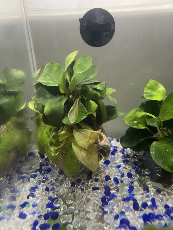 BE772174-24DD-4684-8DAB-E06AB2840FC2