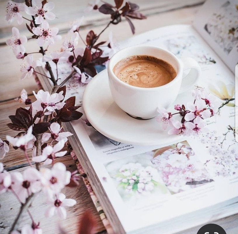 Screenshot_20240506_230347_Pinterest