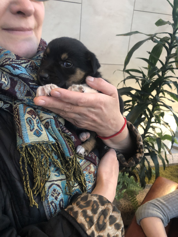 2904AFD8-9154-42A4-BA2E-AB1F4B7592E6