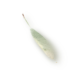 3moybx
