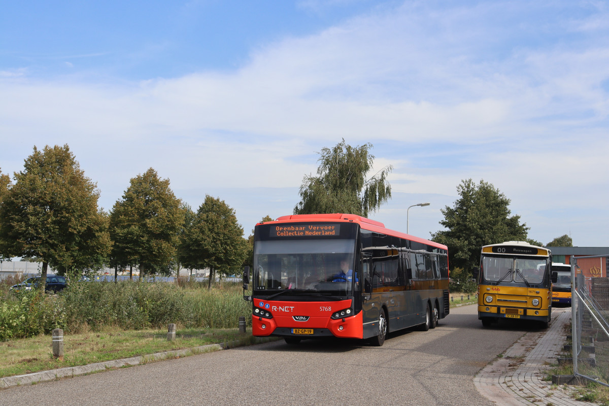 NOP33