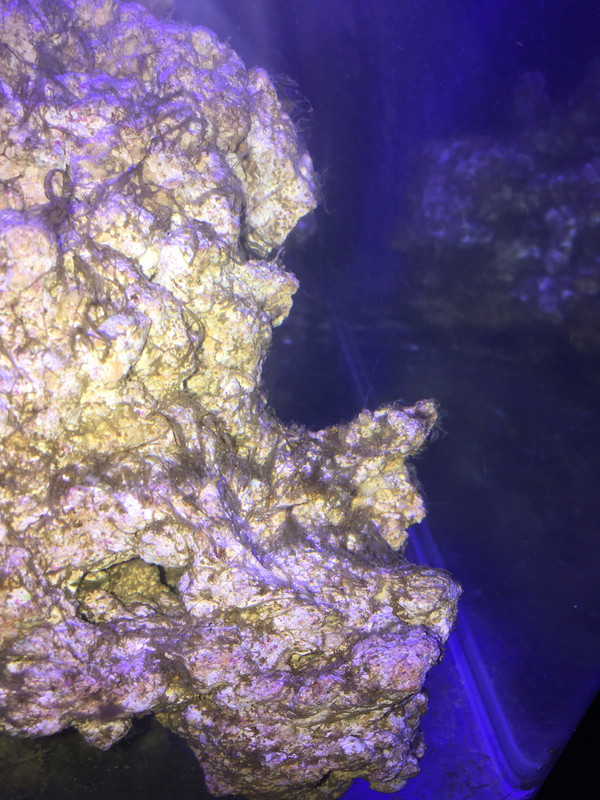 7ECCF2C9-E2EA-4CD1-919A-FE7941DF90A4