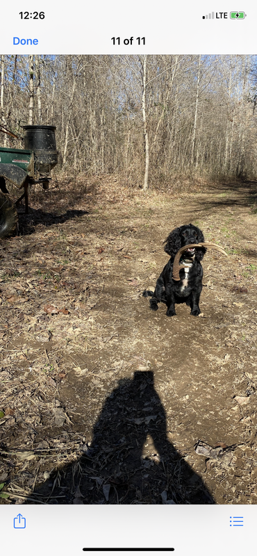 0AEA04FF-CF98-496D-8DA1-3B51FB5CFF61