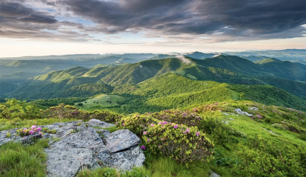 [Image: rolling-hills.png]