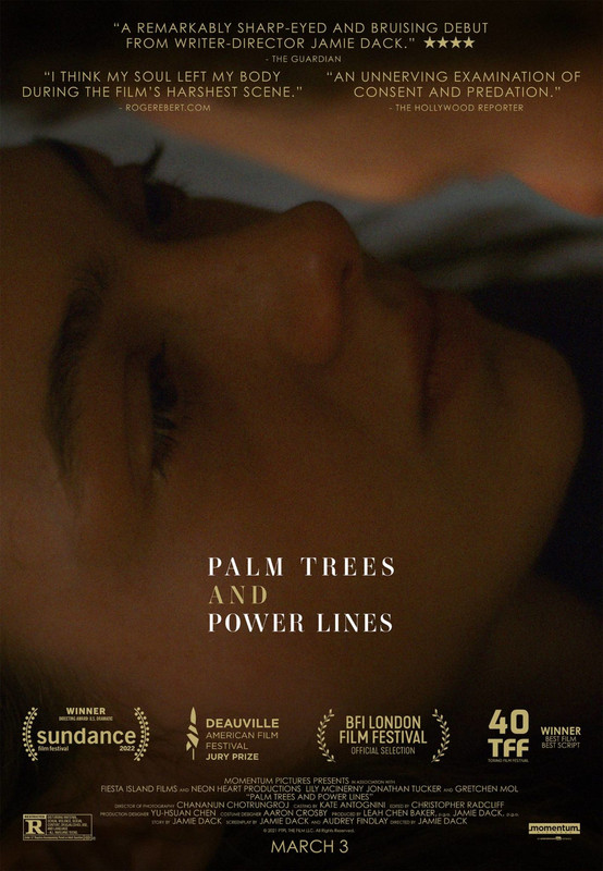 Palmy i słupy / Palm Trees and Power Lines (2022) PL.480p.WEB-DL.XviD.DD2.0-K83 / Lektor PL