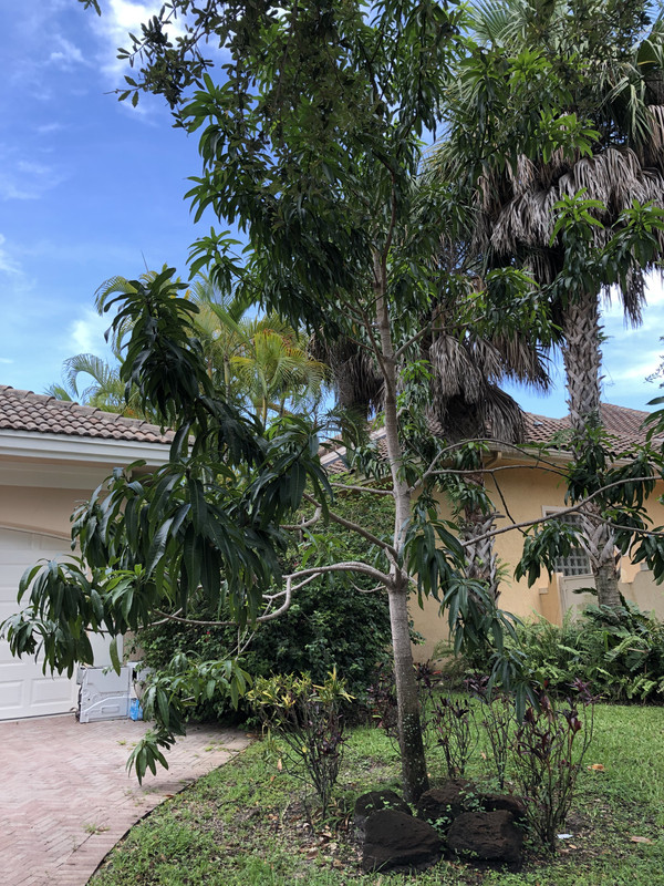 E74435DD-592D-4B23-9F3A-901CE5F3CFE0