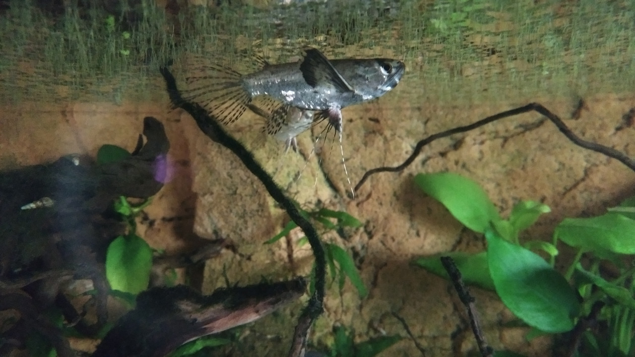 IMG_20180329_094752173