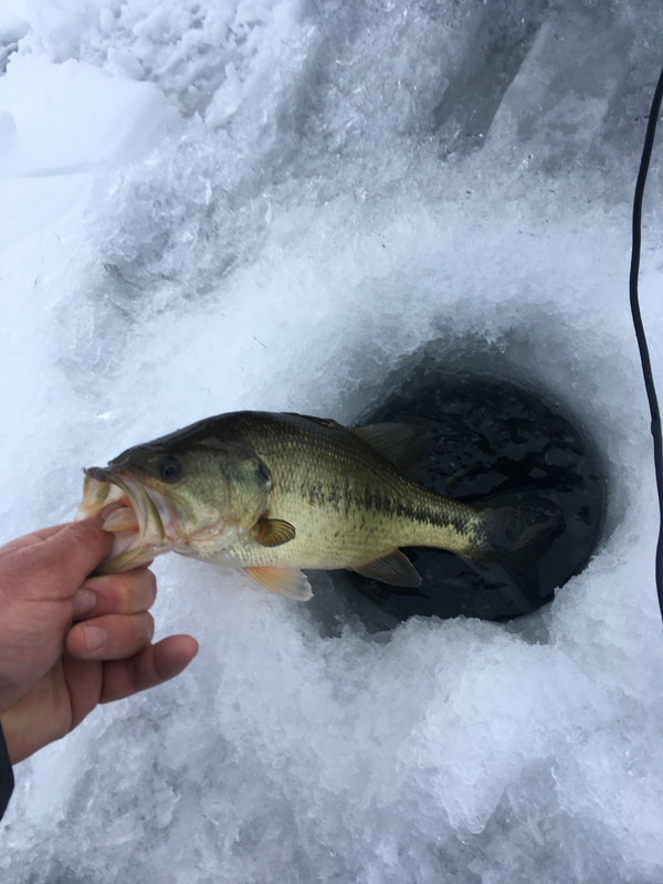 2516C16C-F6DD-4FAA-8AE4-2517B93F3AE6