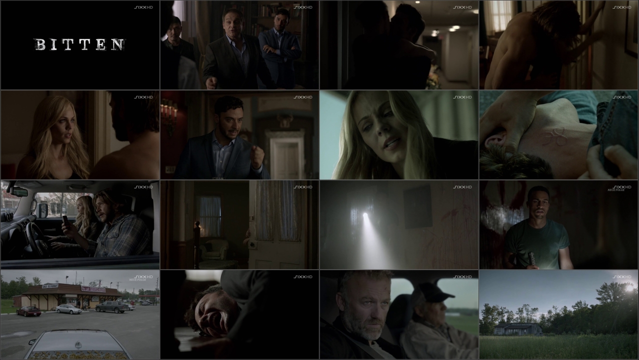14-B-ses-Blut-mkv.jpg