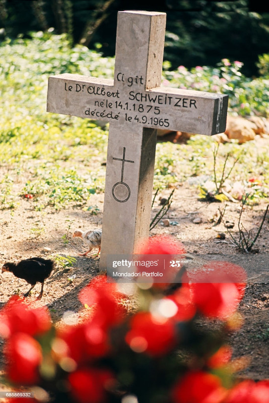 gettyimages-685869332-1024x1024
