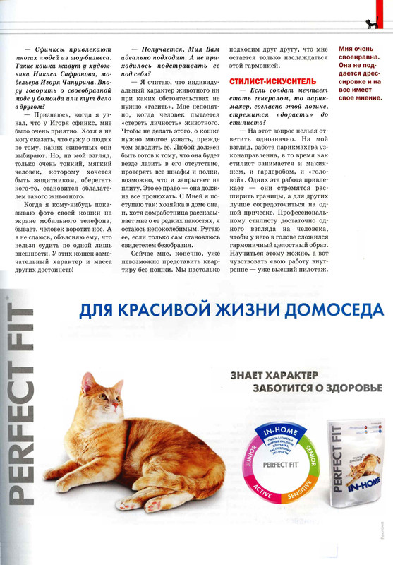 Друг кошек № 4 2009-14