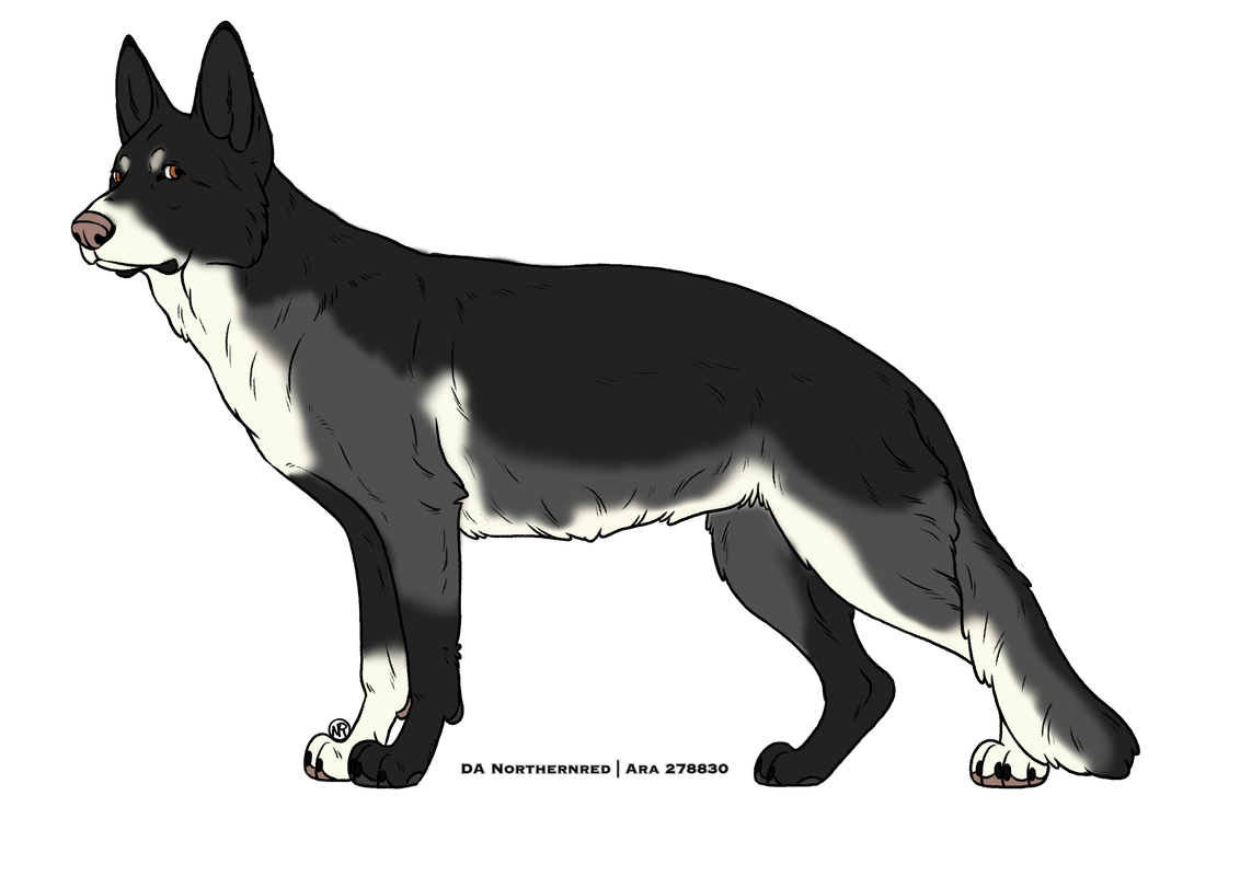 Eclipse-Adult.png