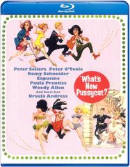 Ciao Pussycat (1965) WebDL 1080p E-AC3 ITA - ENG