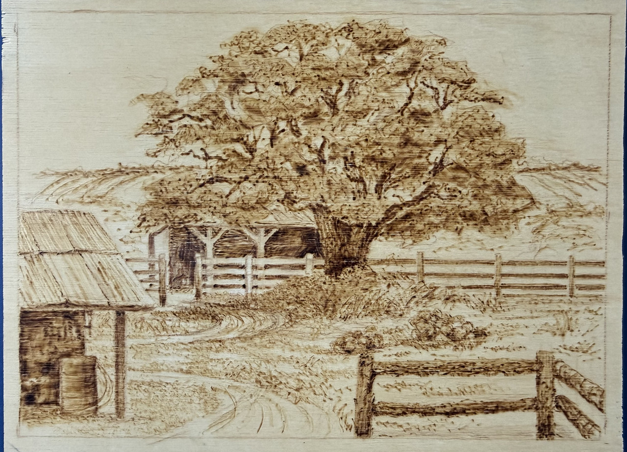 Oak Tree on the Farm