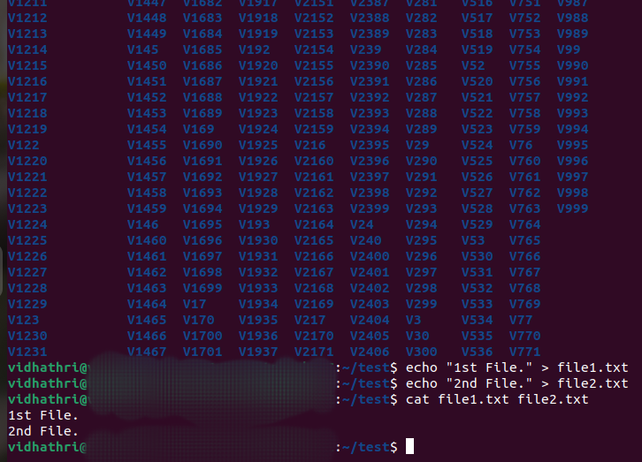 UbuntuTerminal2