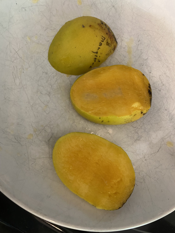 mmangifera?